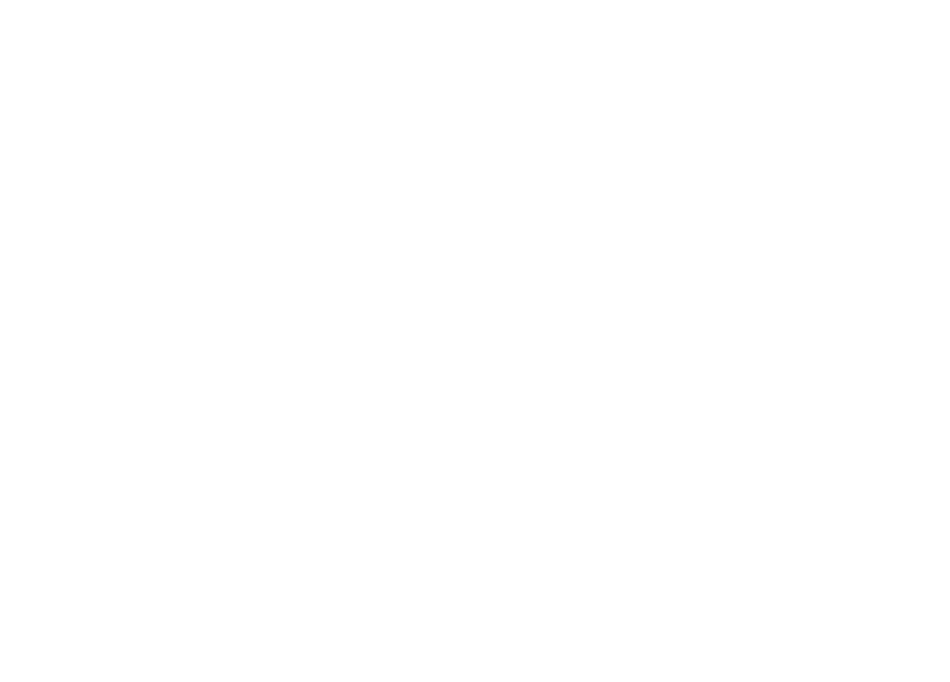 Fast Ice